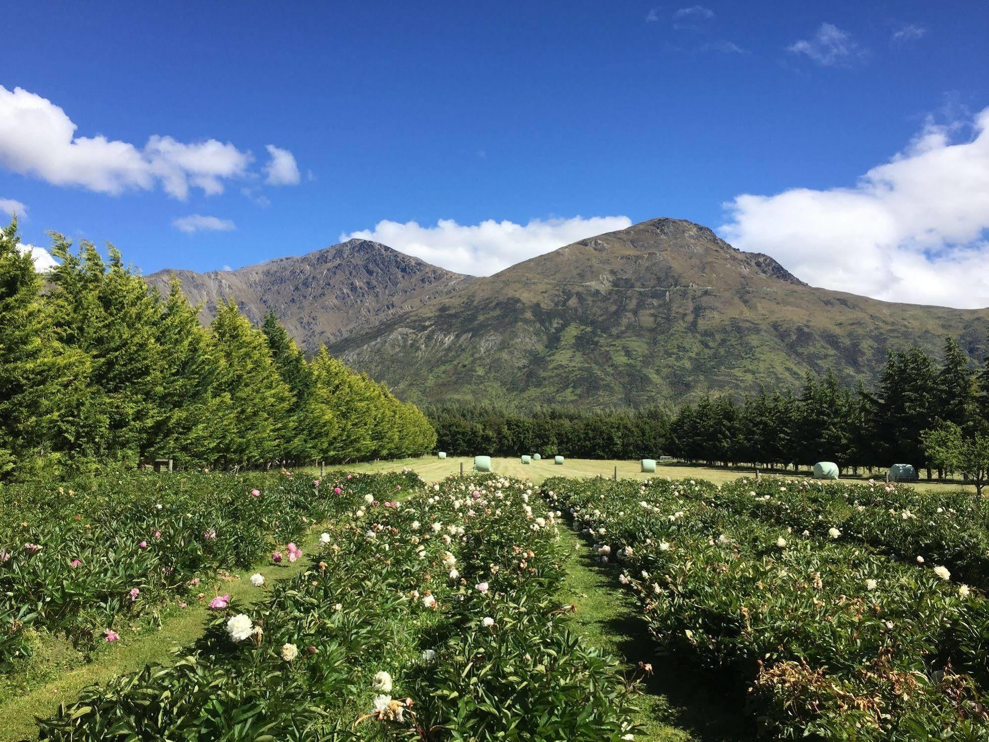 Queenstown Country Lodge Lake Hayes Bagian luar foto